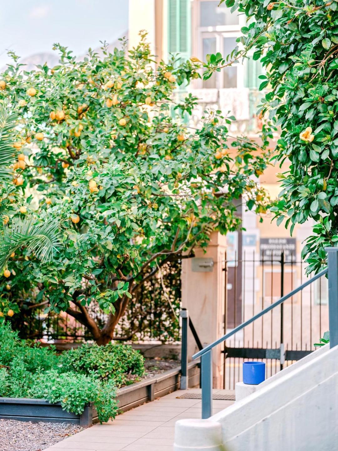Hotel Lemon Мантон Екстер'єр фото